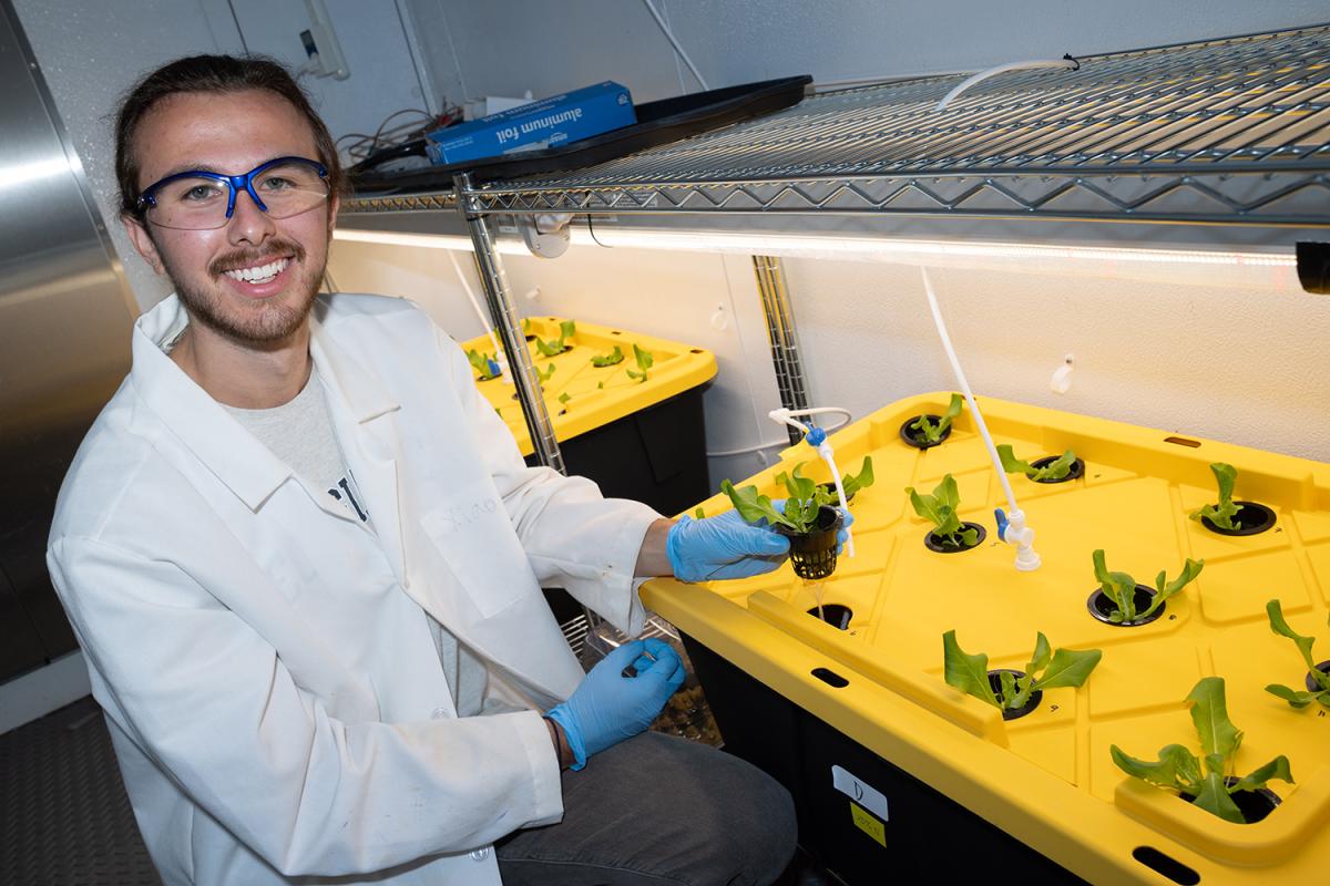 A student in the lab with a hydroponic lettuce 