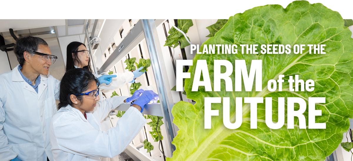 a group of people look at a vertical garden of lettuce in the lab with text "Planting the Seeds of the Farm of the Future"