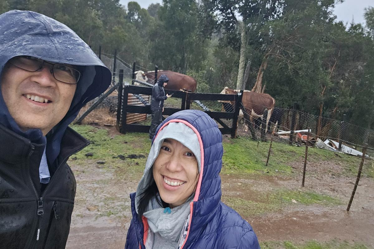 Two people take a selfie in front of cows on a farm