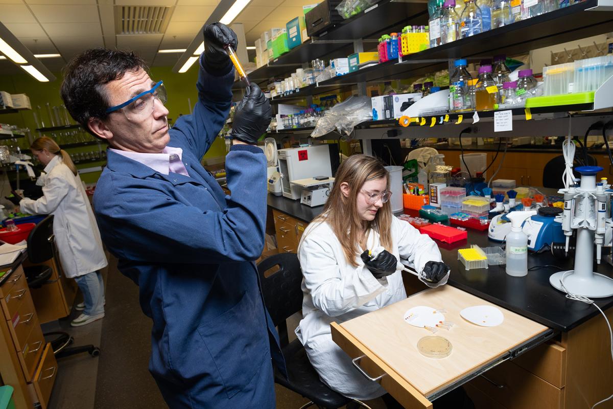 Mark Styczynski holds and examines a test tube with dark-colored liquid in the lab while researcher Alexandra Patterson, seated, uses a pipette to transfer samples in smaller tubes. (Photo: Candler Hobbs)