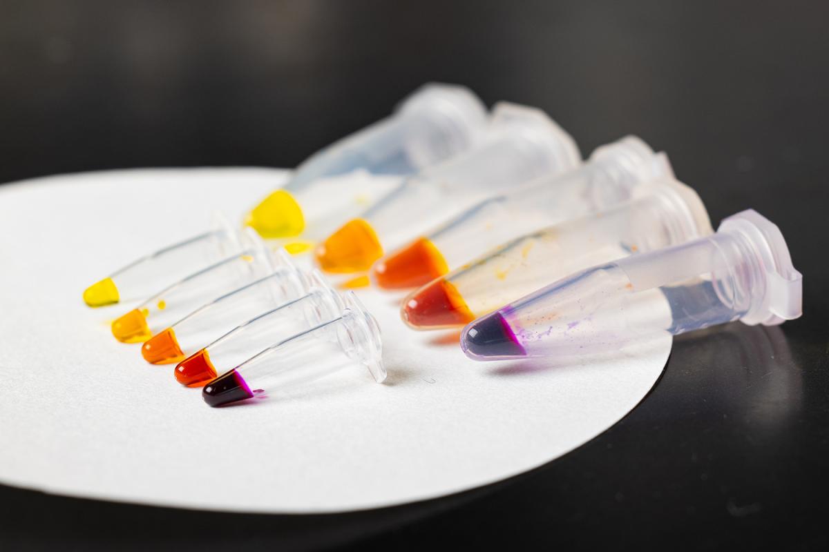 Five large vials and five small vials with colored liquid ranging from yellow to orange, red, and deep purple. (Photo: Candler Hobbs)