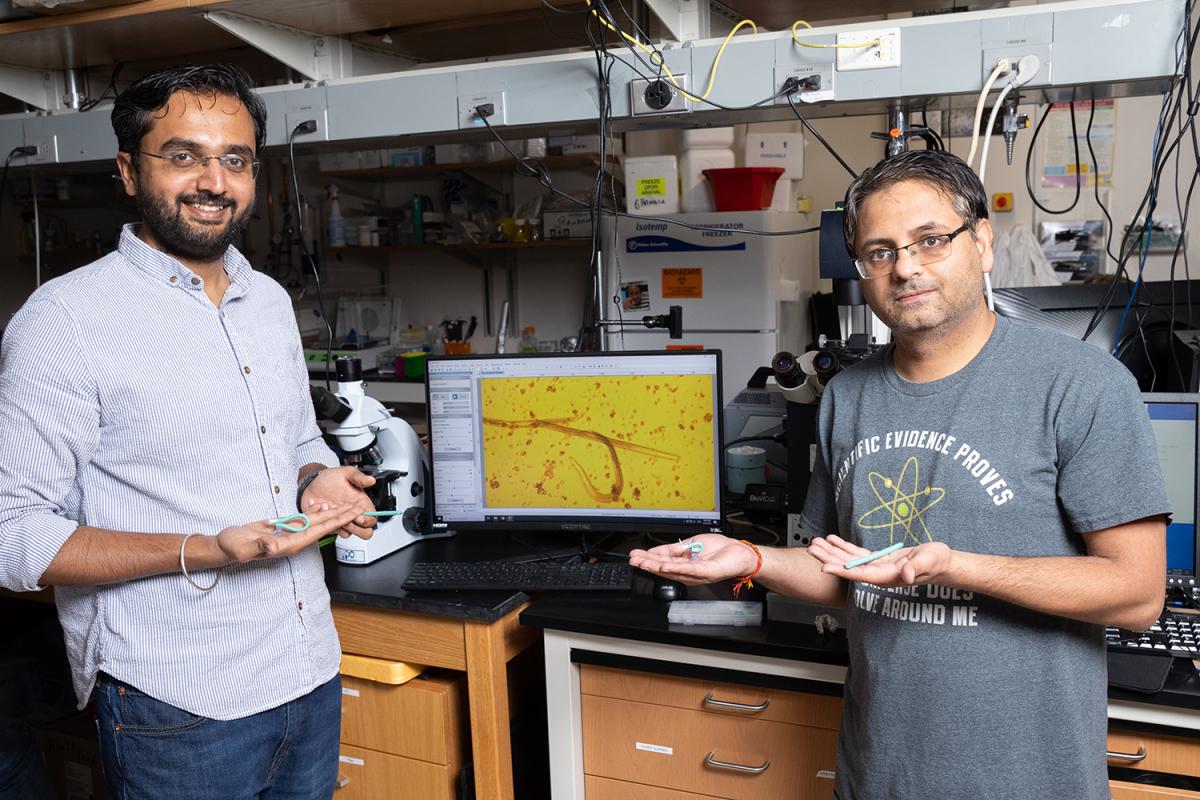 Two people in a lab hold robots with worms on a computer screen behind them