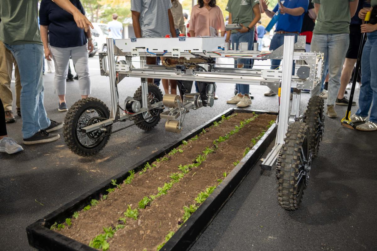 a machine rolls above a row of plants in soil