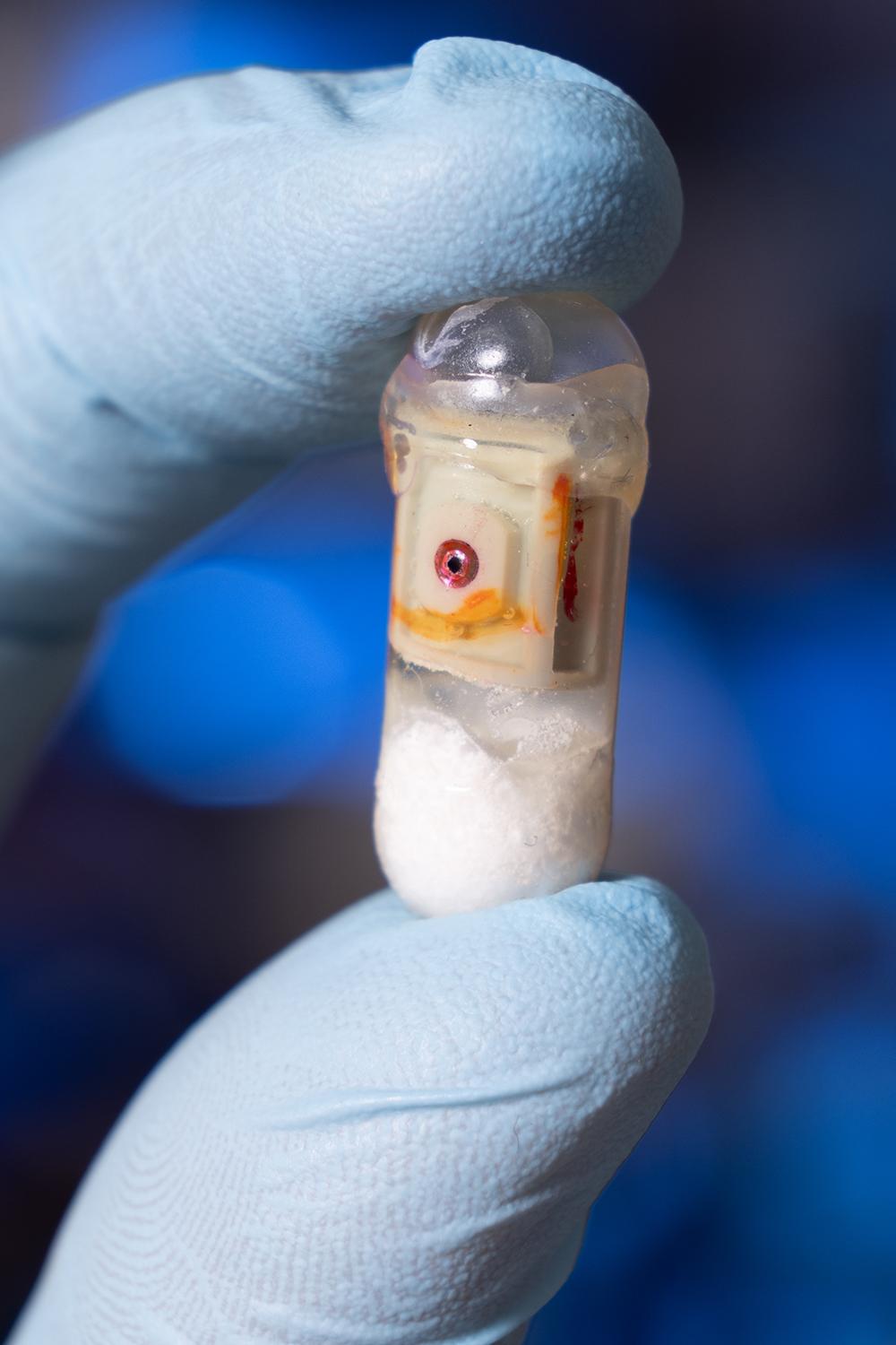 a closeup of a hand holding a specialized capsule