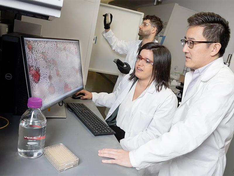 biomedical engineers looking at computer screen showing hard-to-reach tumors