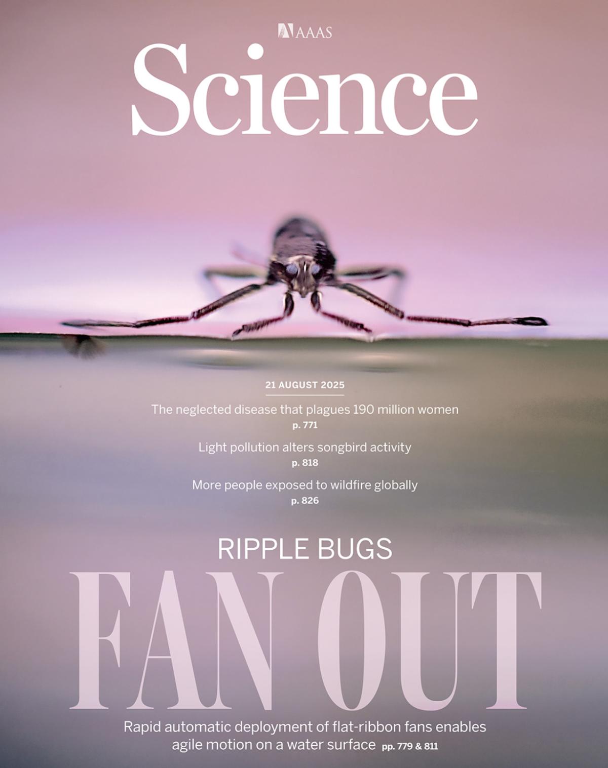 cover of "Science" journal with water strider standings. Words below that read "FAN OUT"