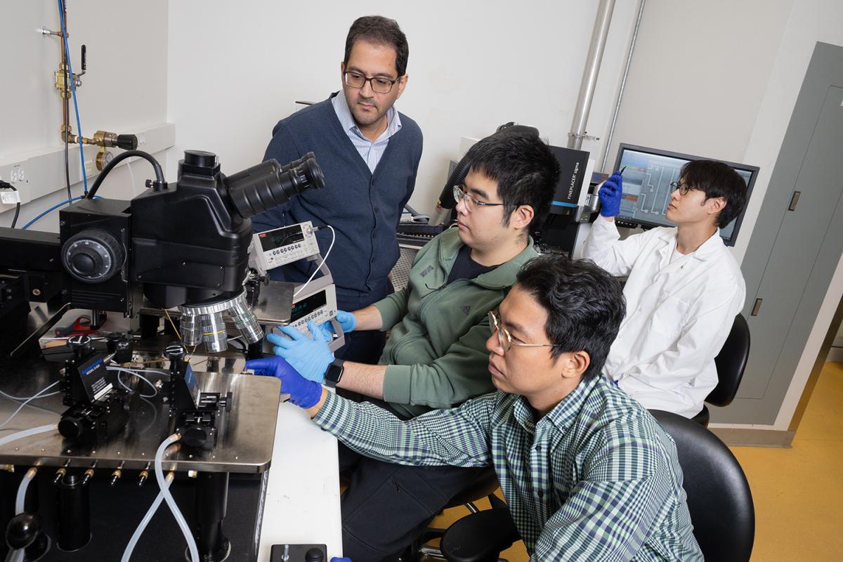 a group of people look at chips on microscopes