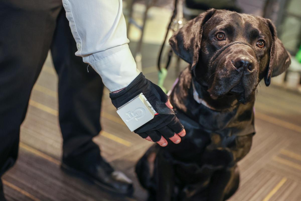 person wearing device on hand. person touching brown dog