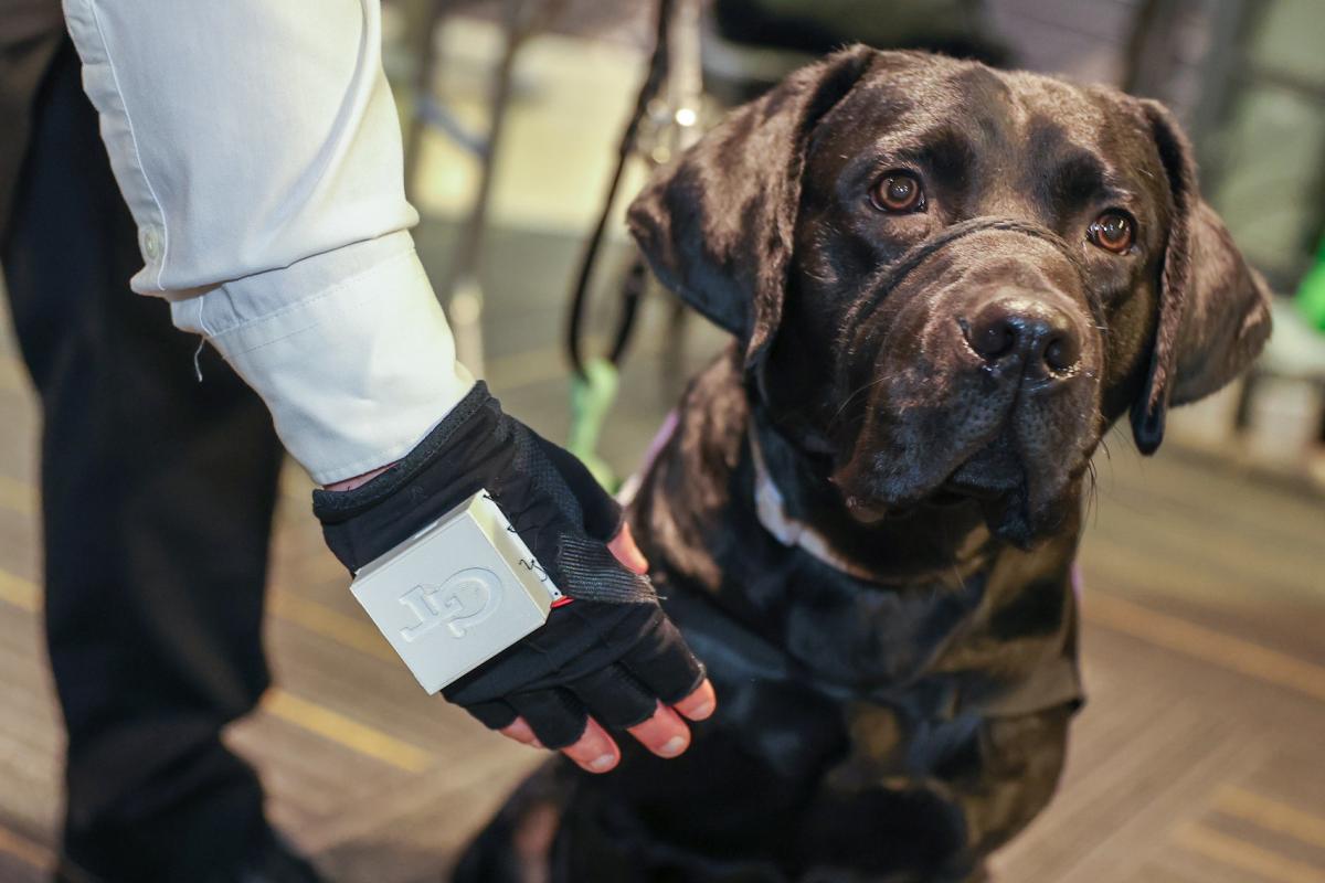 Team Chief’s hand-worn device improves communication between service dogs and their handlers by providing haptic feedback to the dog that corresponds to gestures from the handler.