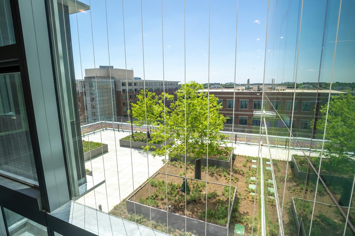 Looking out a window at a rooftop terrace of George Tower