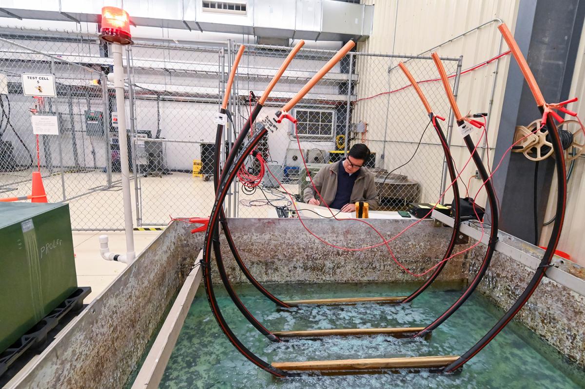 a person inspects cables in a water tank
