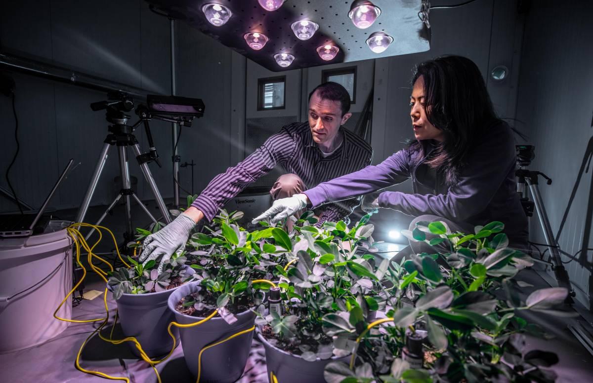 Researchers in lab