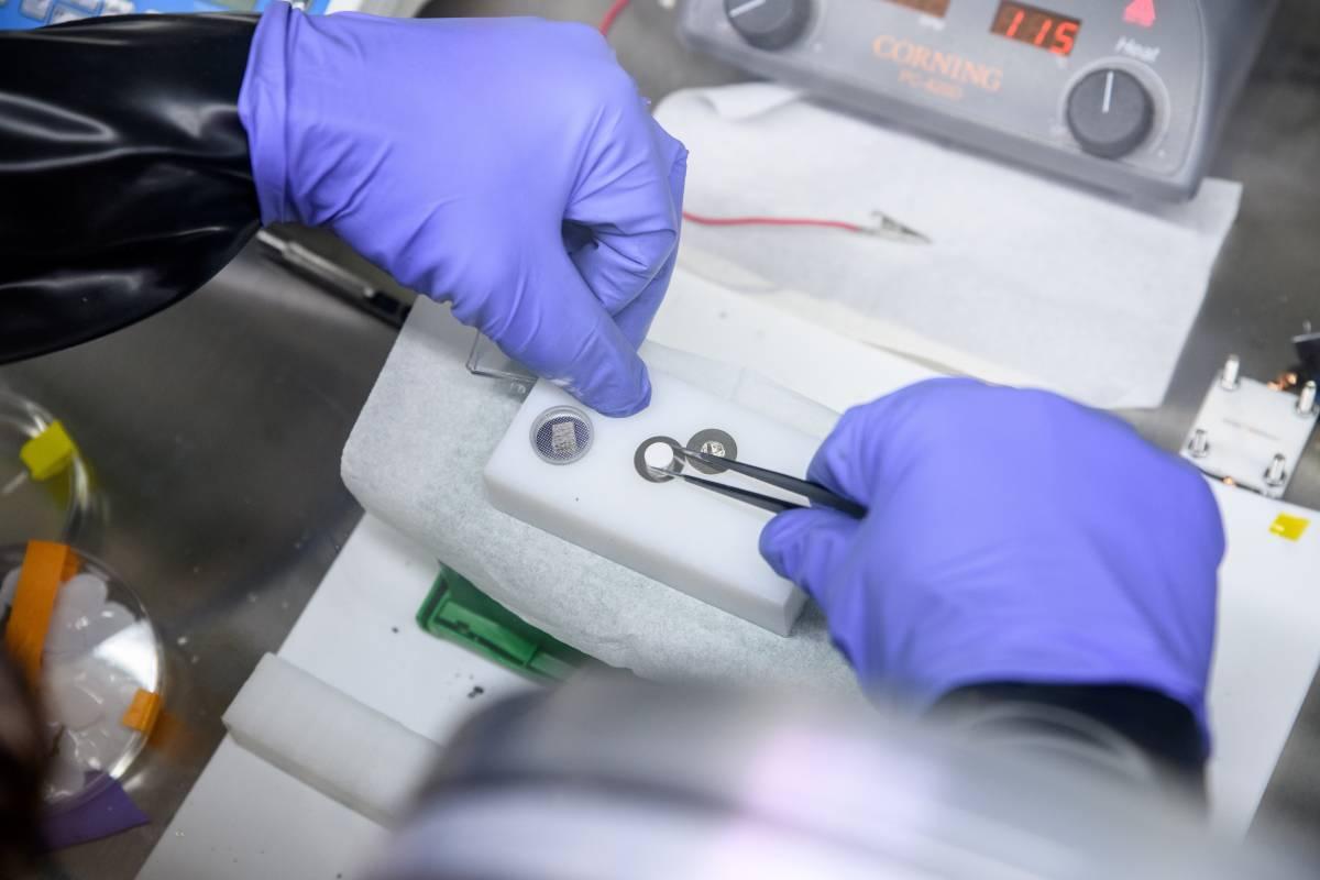 gloved hands holding tweezers