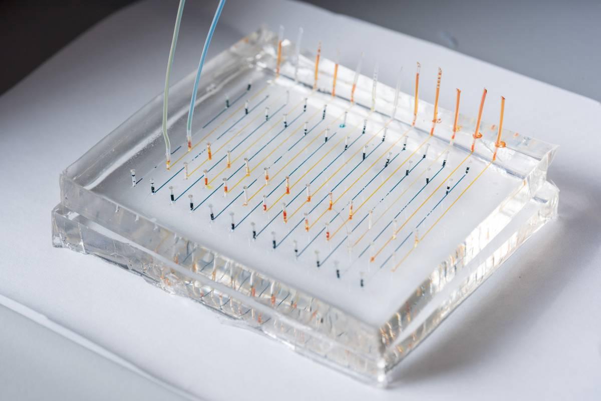 Microfluidic chip