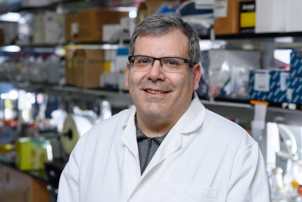 Philip Santangelo in his lab