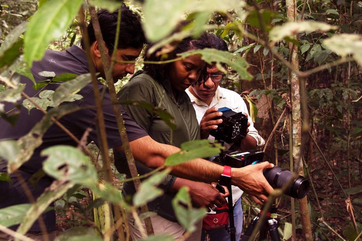 Photographing spider in Peruvian jungle 