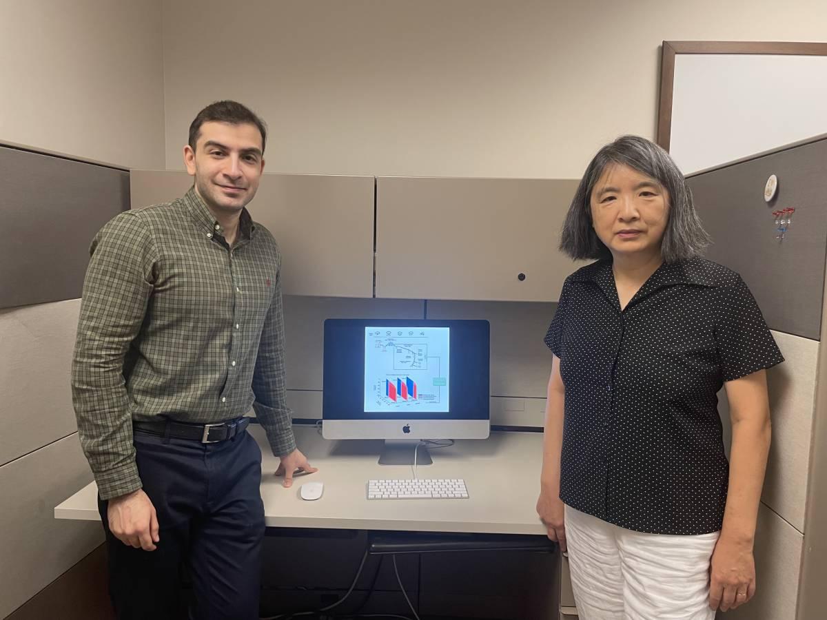 image of Georgia Tech researchers Amir Hossein Afsharinejad and Chuanyi Ji