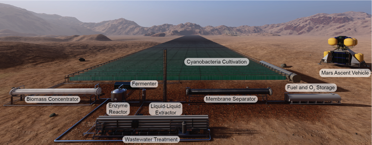 Illustration of potential photobioreactors capable of making rocket fuel on Mars