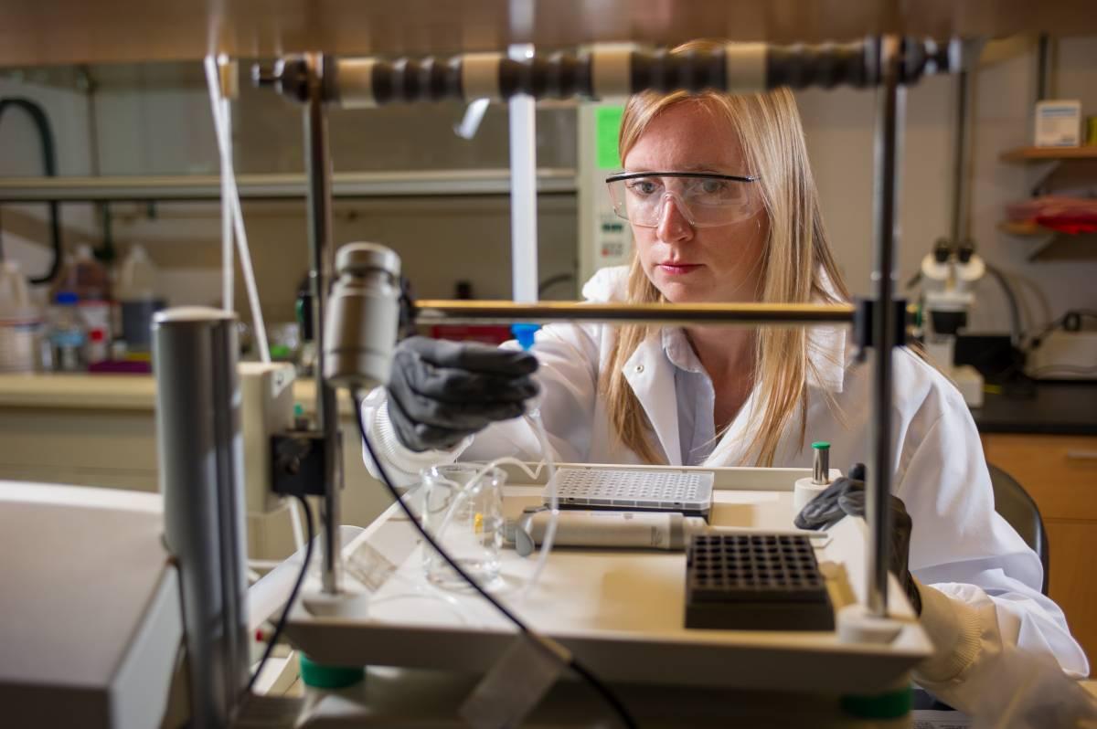 ME professor, Susan Thomas, works on cancer research in her lab